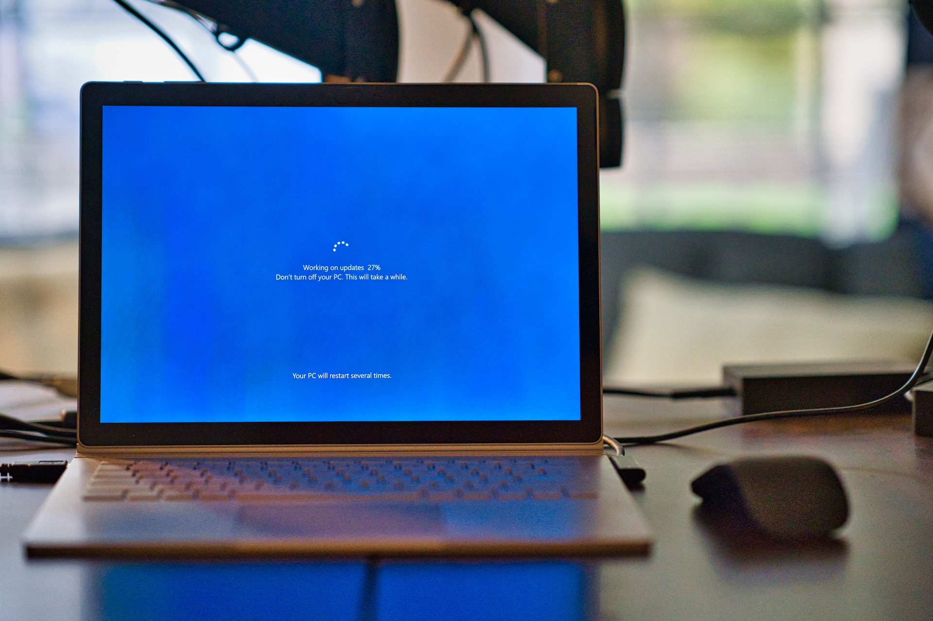 Software Services